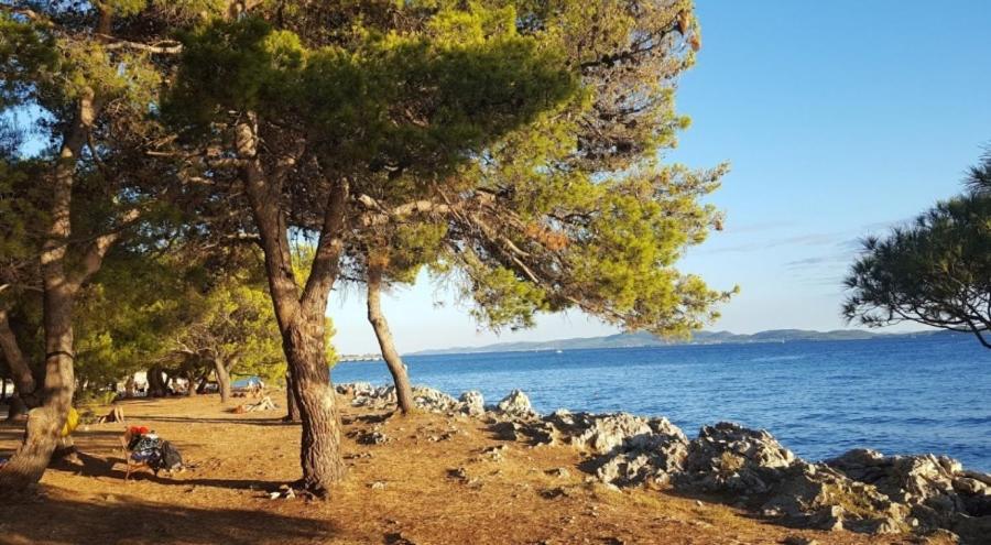 Apartman Rosa Zadar Zewnętrze zdjęcie
